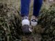 scarpe comode per camminare